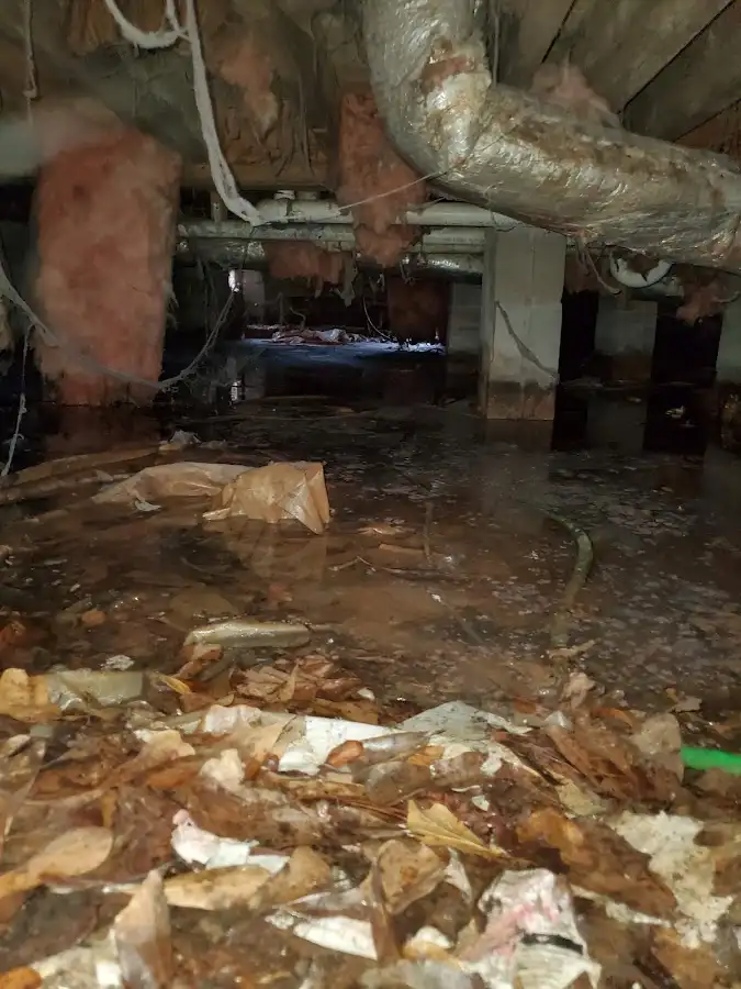 Crawl space flood assessment for Commercial Water Damage Restoration in Red Hook