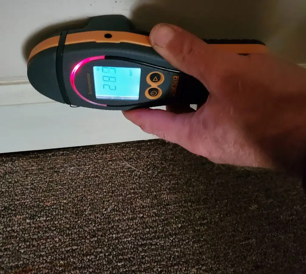 Moisture detection at baseboard during Sewage Cleanup & Sanitation in Red Hook